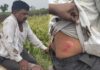 बांधाच्या वादातून ट्रॅक्टर अंगावर घालून एकाला जीवे मारण्याच्या प्रयत्न, बोरिपार्धी येथील घटना