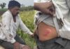 बांधाच्या वादातून ट्रॅक्टर अंगावर घालून एकाला जीवे मारण्याच्या प्रयत्न, बोरिपार्धी येथील घटना