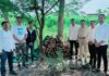 पुरंदर तालुक्यात २८ लाखाचा चंदनसाठा पुणे ग्रामीण एटीएस ने पकडला, मास्टरमाईंड पुष्पा आला रडारवर