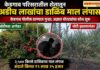 केडगाव परिसरातील शेतातून अडीच लाखांचा डाळिंब माल लंपास, पोलीस ठाण्यात गुन्हा दाखल